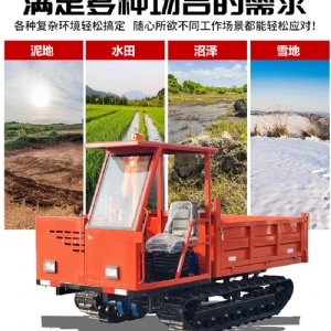 5噸履帶運(yùn)輸車(chē)
